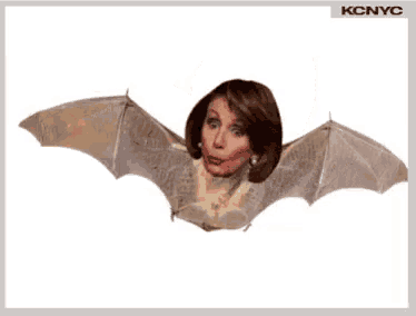 a picture of a bat with a woman 's face on it and the words kcnyc below it