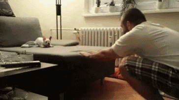 a man is kneeling down next to a couch with a dog on it