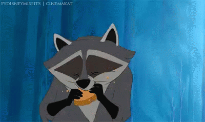 Biscuit GIF - Biscuit Raccoon Food GIFs
