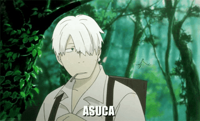 a cartoon of a man with white hair and the name asuca on the bottom