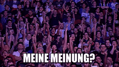 a crowd of people with their arms in the air and the words meine meinung