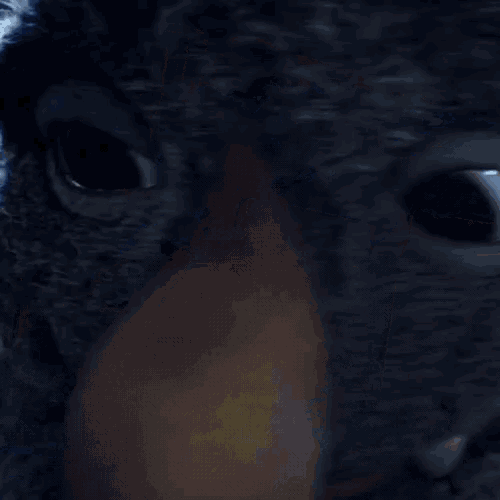 a close up of a stuffed animal with a big nose