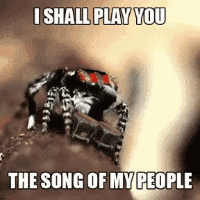 a spider is sitting on a rock with the words i shall play you the song of my people