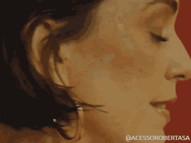 a close up of a woman 's face with the words @acessorobertasa visible