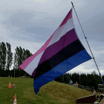 a pink purple and blue flag is flying in a field