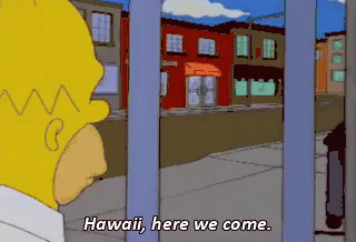 Here We Come GIF - Here We Come Hawaii Vacation GIFs