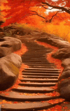 a set of stairs covered in leaves and rocks