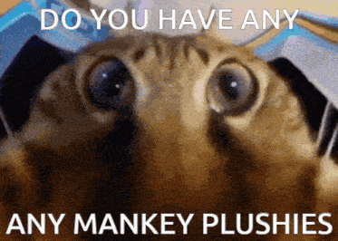 a picture of a cat with the words do you have any any mankey plushies below it