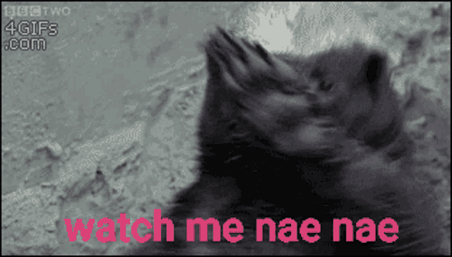 Watch Me Nae Nae Dancing GIF