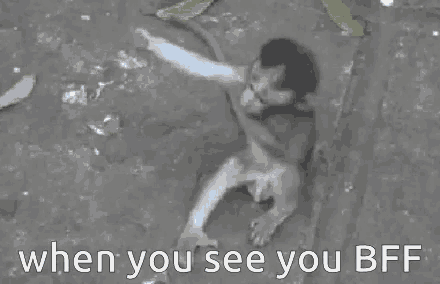 a monkey is sitting on the ground with the words `` when you see you bff '' written on the bottom .