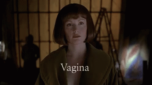 Vagina GIF - Vagina GIFs