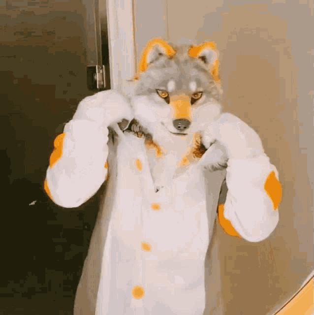 Furry Fursuit GIF - Furry Fursuit Wolf GIFs