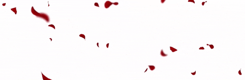 red petals falling on a white background with the letter a