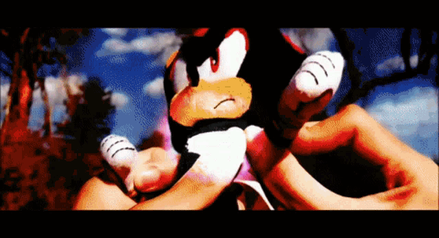 a person holding a stuffed shadow the hedgehog