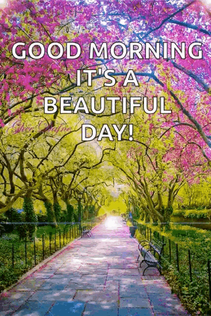 a picture of a park with the words good morning it 's a beautiful day !