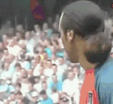 Manchester City Seaman GIF - Manchester City Seaman Ronaldinho GIFs