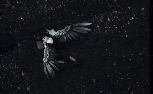 a person with wings laying on the ground with a red apple