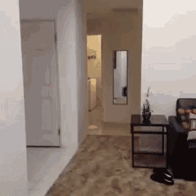 Papertowelsmack GIF - Papertowelsmack GIFs