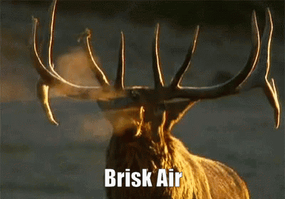 Brisk Air GIF - Brisk Air GIFs