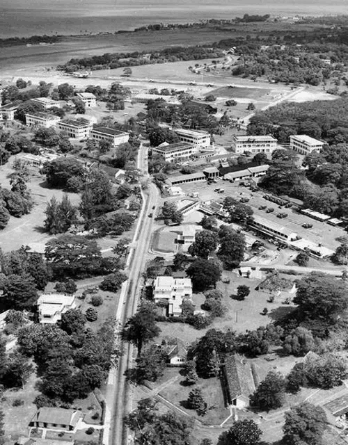 a black and white photo of a residential area with lots of trees and buildings