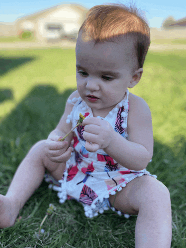 a baby in a white and pink floral dress is playing with a flower