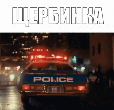 a blue police car with a license plate that says 9183