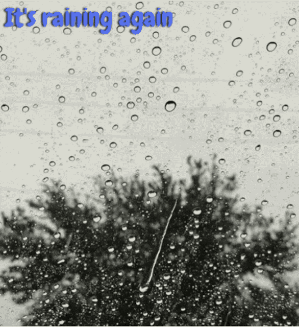 Raining Again Rain On Window GIF - Raining Again Rain On Window Humanharvest407 GIFs