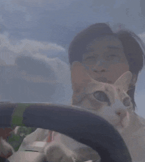 a man is driving a car with a cat behind the steering wheel
