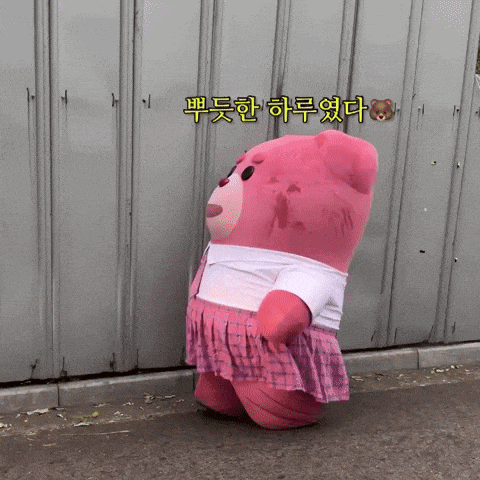 a pink teddy bear wearing a skirt is standing in front of a wall