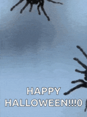 Spiders Creepy Pictures GIF - Spiders Spider Creepy Pictures GIFs