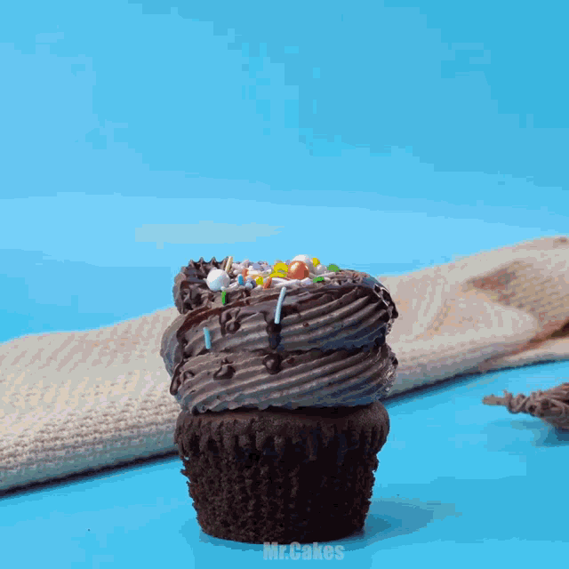a close up of a chocolate cupcake with sprinkles and the words mr.cakes written below it