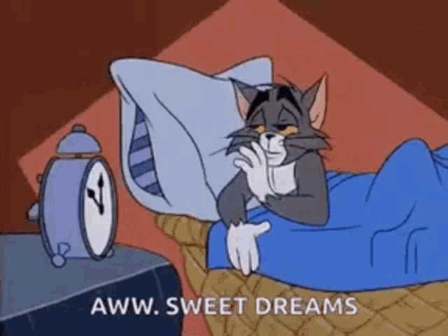 a cartoon of a cat laying in bed next to an alarm clock that says sweet dreams .
