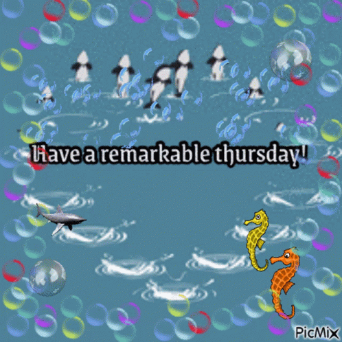 Thursday Remarkable GIF - Thursday Remarkable Sea GIFs