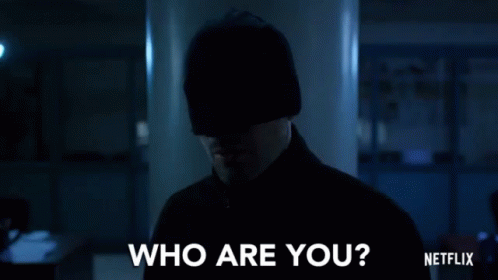 Who Are You Mask GIF - Who Are You Mask Asking GIFs
