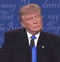 Wrong Trump GIF - Wrong Trump Donald GIFs