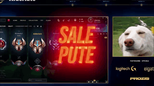 a screen shot of a video game with the words sale pute on it