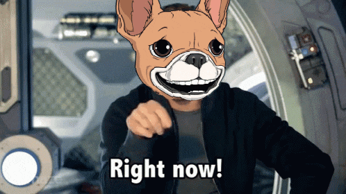 a cartoon of a man wearing a dog mask says " right now "