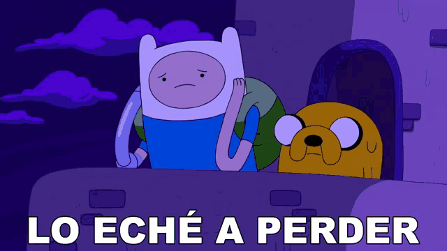 a picture of finn and jake from adventure time