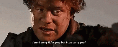 Samwise Gamgee I Cant Carry It For You But I Can Carry You GIF - Samwise Gamgee I Cant Carry It For You But I Can Carry You Carry GIFs