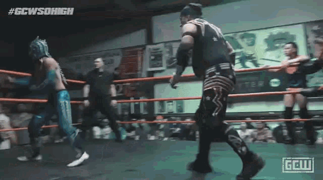 a group of wrestlers are standing in a ring .