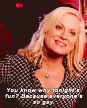 Parks And Rec Leslie Knope GIF - Parks And Rec Leslie Knope Gay GIFs
