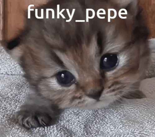 Funky_pepe Pepe Gb GIF - Funky_pepe Pepe Gb GIFs