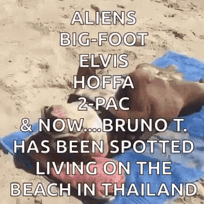 a dog is laying on a towel on the beach in thailand