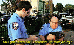 Charlie Day Cat GIF - Charlie Day Cat Danny Devito GIFs