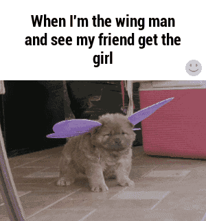 a puppy wearing purple wings says when i 'm the wing man and see my friend get the girl ..