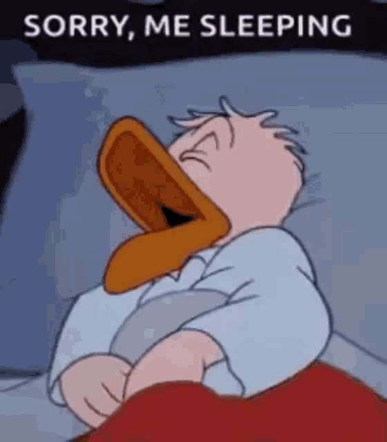 a cartoon of donald duck sleeping in a bed
