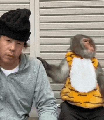 a man is sitting next to a monkey wearing a tiger outfit
