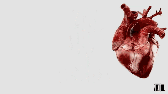 a poster that says you took my heart with a heart in the background