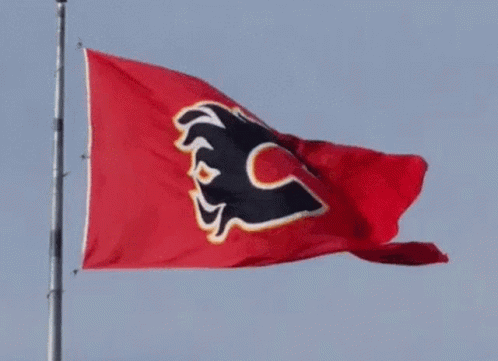 Calgary Flames Nhl GIF - Calgary Flames Nhl Hockey GIFs