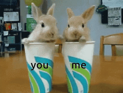 Bunny Couple GIF - Bunny Couple You Me GIFs